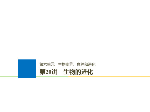 浙江高考生物一轮总复习生物变异育种和进化第讲生物的进化课件