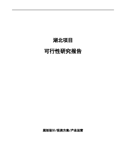湖北项目可行性研究报告(备案)