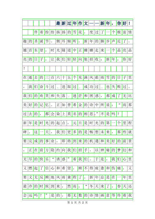 2019年最新过年作文——新年,你好!