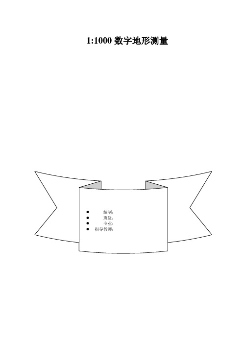 1：1000数字化地形测量1