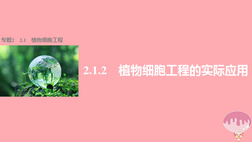 2017-2018学年高中生物 专题2 基因工程 2.1.2 植物细胞工程课件 新人教版选修3