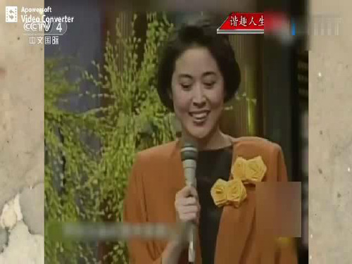 6.语言文化与节日文化