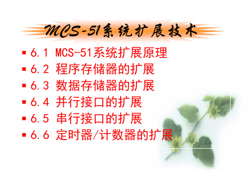 mcs51系统扩展技术
