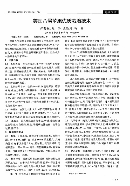 美国八号苹果优质栽培技术