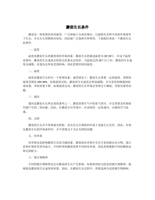 蘑菇生长条件