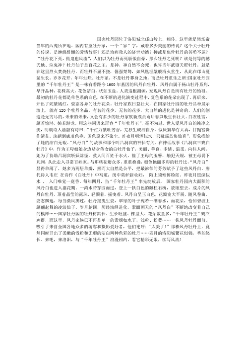 千年牡丹写风流