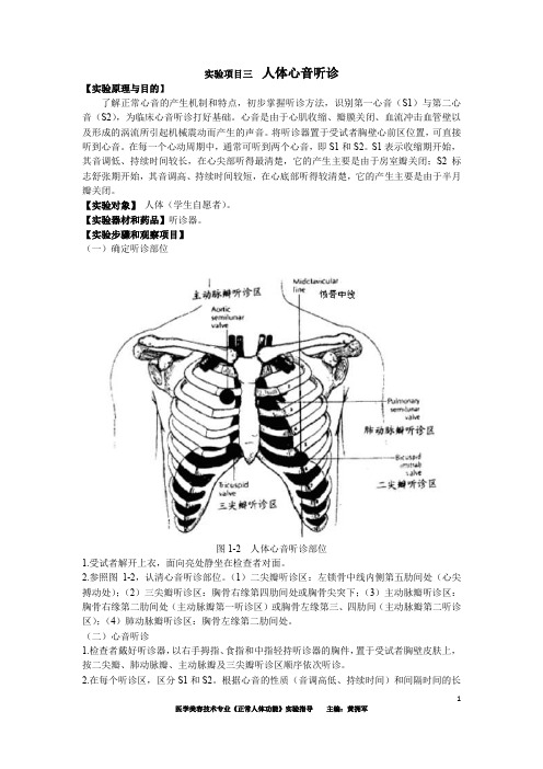 正常人体功能实验项目(心音听诊和血压测量)