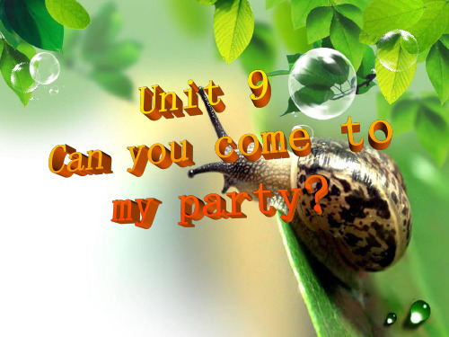 2人教版八年级上英语_unit9_Can_you_come_to_my_party_SectionB2a-2e