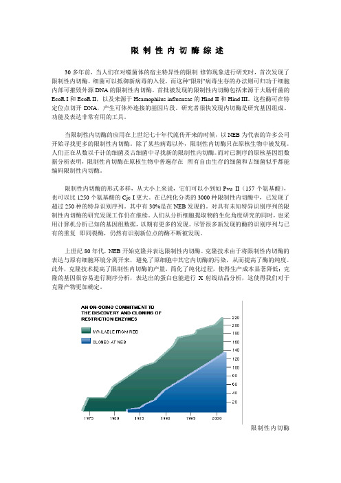 限制性内切酶综述