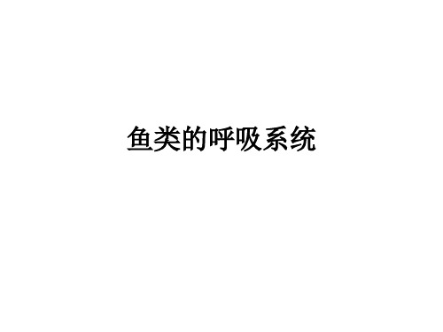 鱼类的呼吸系统