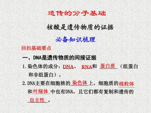 高一生物第三章《第一节核酸是遗传物质的证据》课件8(浙教版必修2)