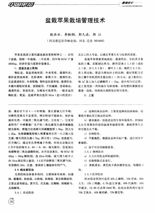 盆栽苹果栽培管理技术