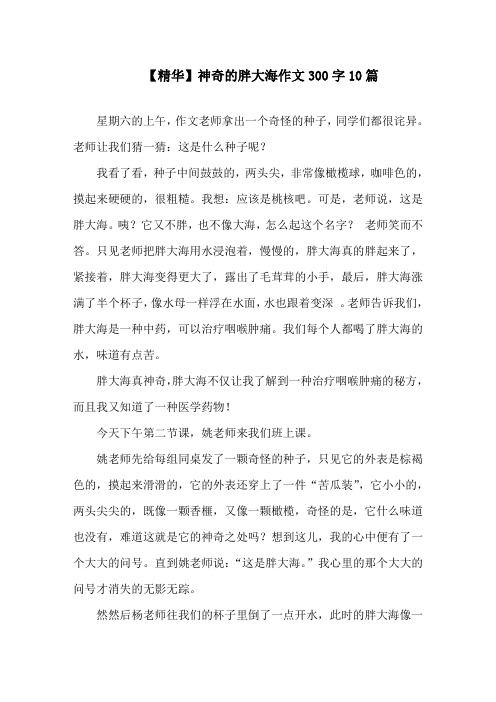 中小学神奇的胖大海作文300字10篇(1)