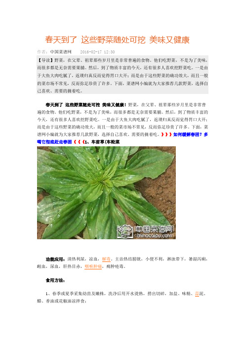 天到了 这些野菜随处可挖 美味又健康
