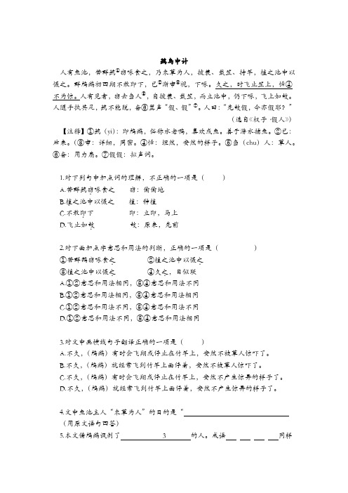 鷧鸟中计 初一