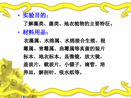 菌类地衣植物的主要特征材料用品衣藻属