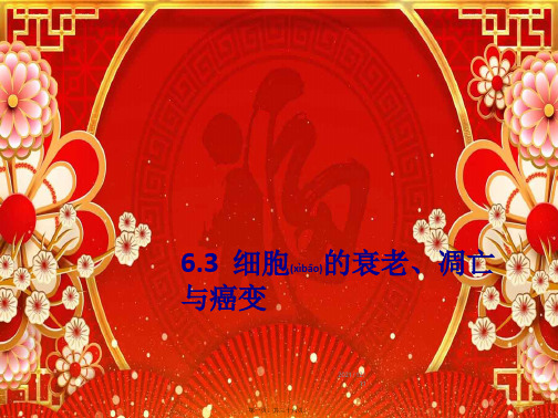 高中生物专题3细胞的衰老凋亡与癌变课件必修1高一必修1生物课件