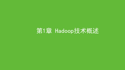 Hadoop大数据技术基础与应用 第1章 Hadoop技术概述