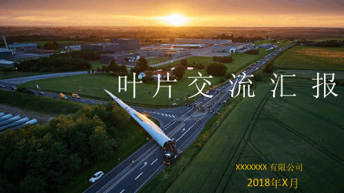 2018海上风电叶片交流参考资料