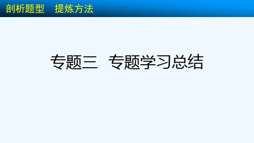 专题三  专题学习总结[可修改版ppt]
