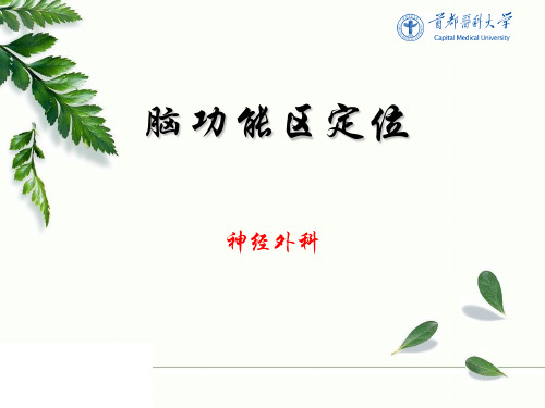 脑功能区定位 