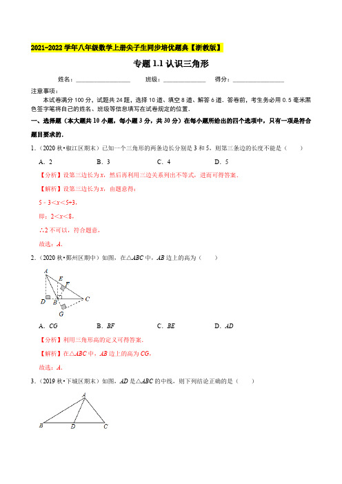 专题11认识三角形-2021-2022学年八年级数学上(解析版)【浙教版】