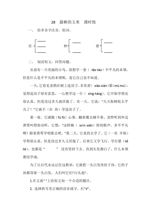 28最棒的玉米练习题及答案