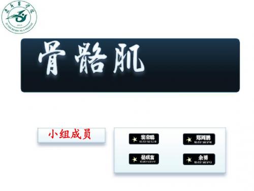 学生自主设计系统解剖实验(骨骼肌)