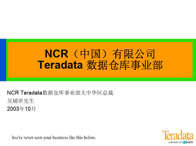 NCR Teradata数据仓库