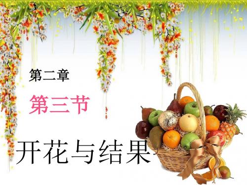 第二章第三节开花和结果