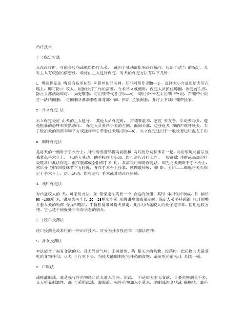 保定方法