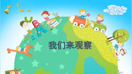 一年级上册科学课件-3我们来观察 粤教版 (共14张PPT)