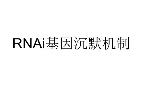 RNAi基因沉默机制