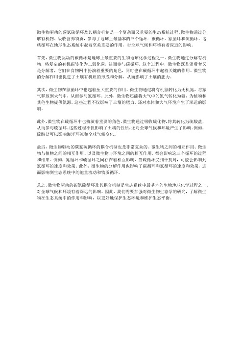 微生物驱动的碳氮硫循环及其耦合机制