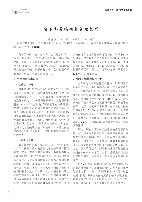 白羽乌骨鸡饲养管理技术