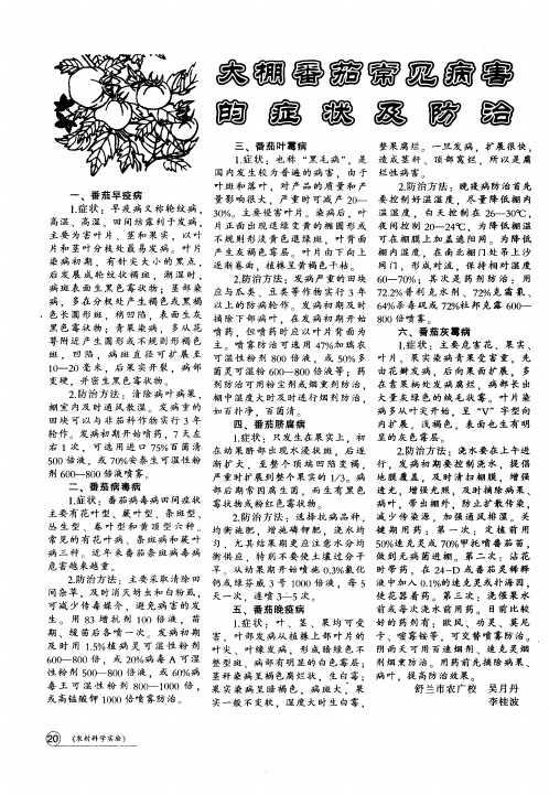大棚番茄常见病害的症状及防治