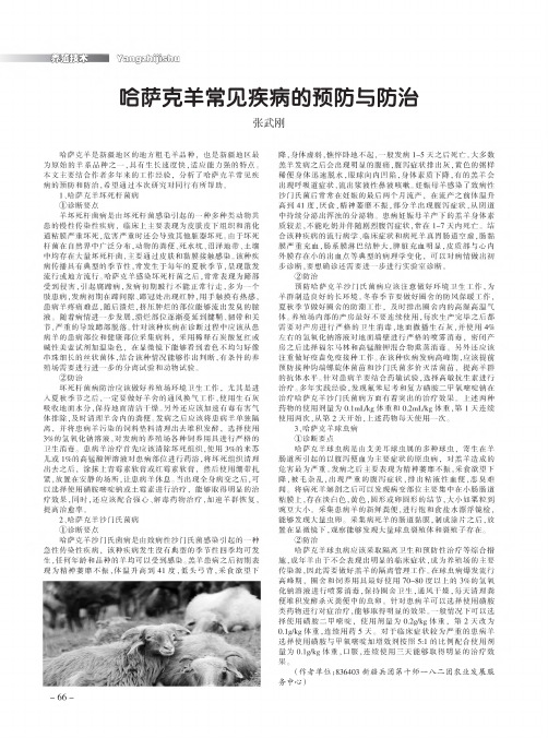 哈萨克羊常见疾病的预防与防治