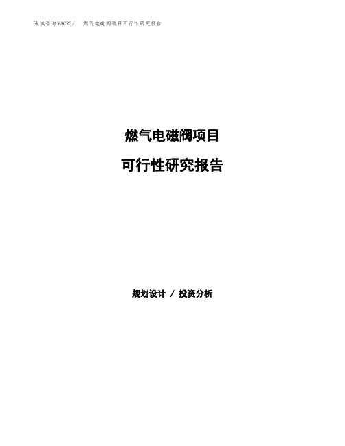 燃气电磁阀项目可行性研究报告(可编辑)
