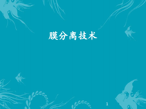 膜分离技术  ppt课件