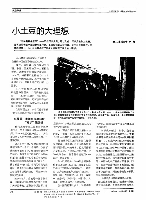 小土豆的大理想