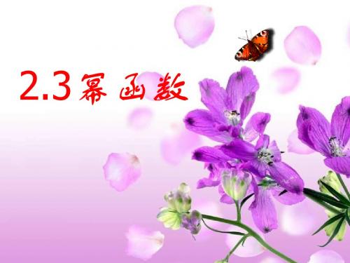 幂函数PPT课件