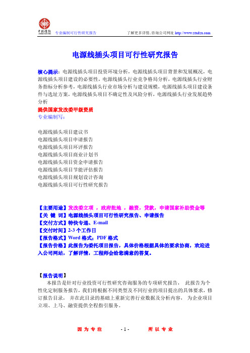电源线插头项目可行性研究报告