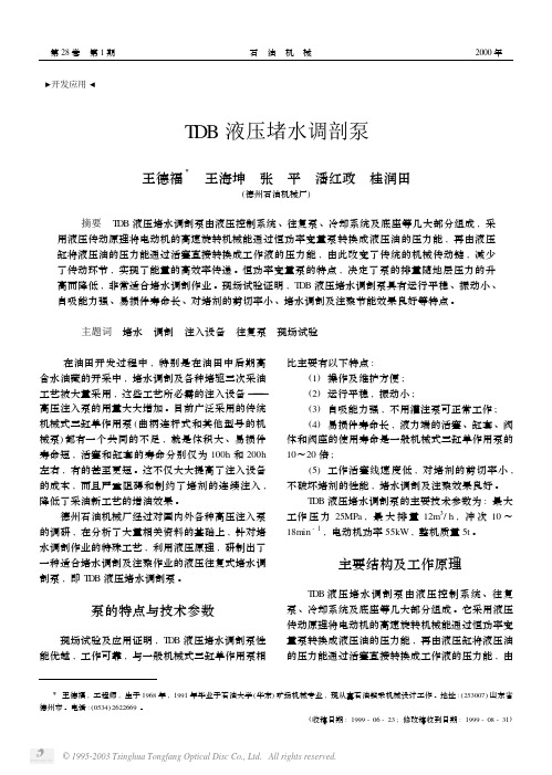 TDB液压堵水调剖泵