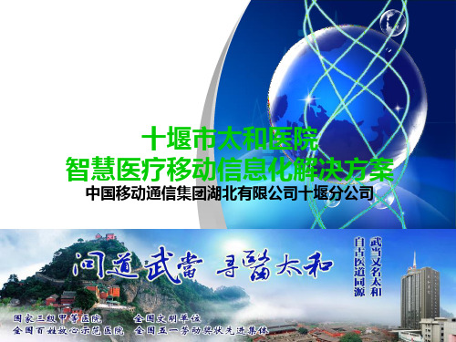 十堰市太和医院信息化规划方案共44页文档