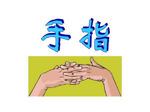五年级下册语文课件-13手指｜鲁教版 (共13张PPT)