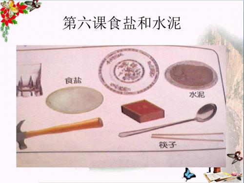 六年级科学上册食盐和水泥ppt课件3青岛版