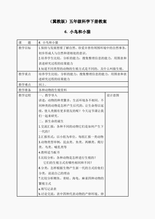冀教小学科学五下册《6小鸟和小猫》word教案 (3)