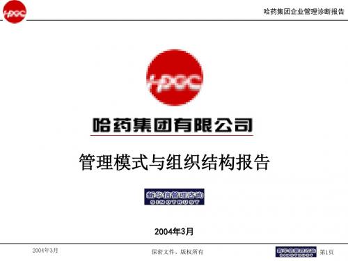 管理模式与组织结构报告