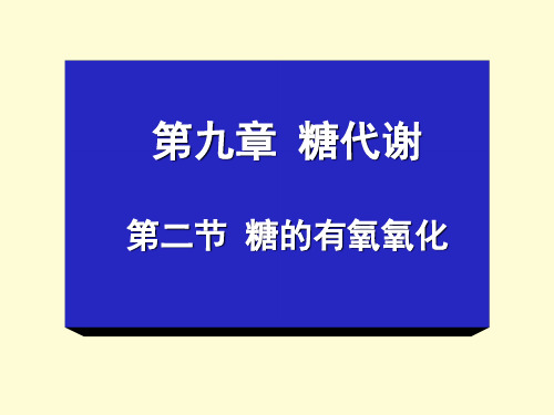 糖的有氧氧化--韦琴--生物技术系.ppt