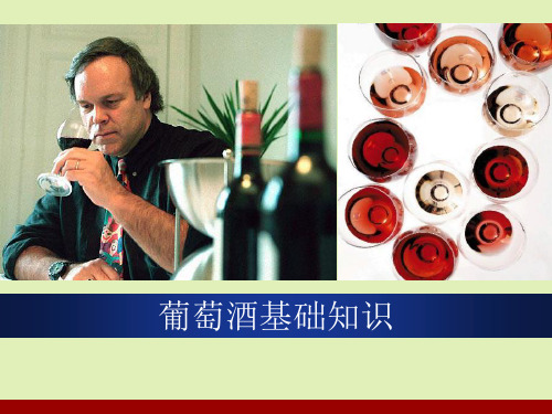 葡萄酒常识中英双语